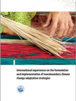 International Experiences on the Formulation and Implementation of Transboundary Climate Change Adaptation Strategies
