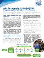 Joint Environmental Monitoring Programme Pilots Project: The Process 