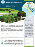 Mekong Delta Water Issues