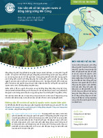 Mekong Delta Water Issues (Vietnames) 