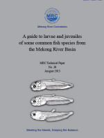 A Guide to Larvae and Juvenile of Some Common Fish Species from the Mekong River Basin