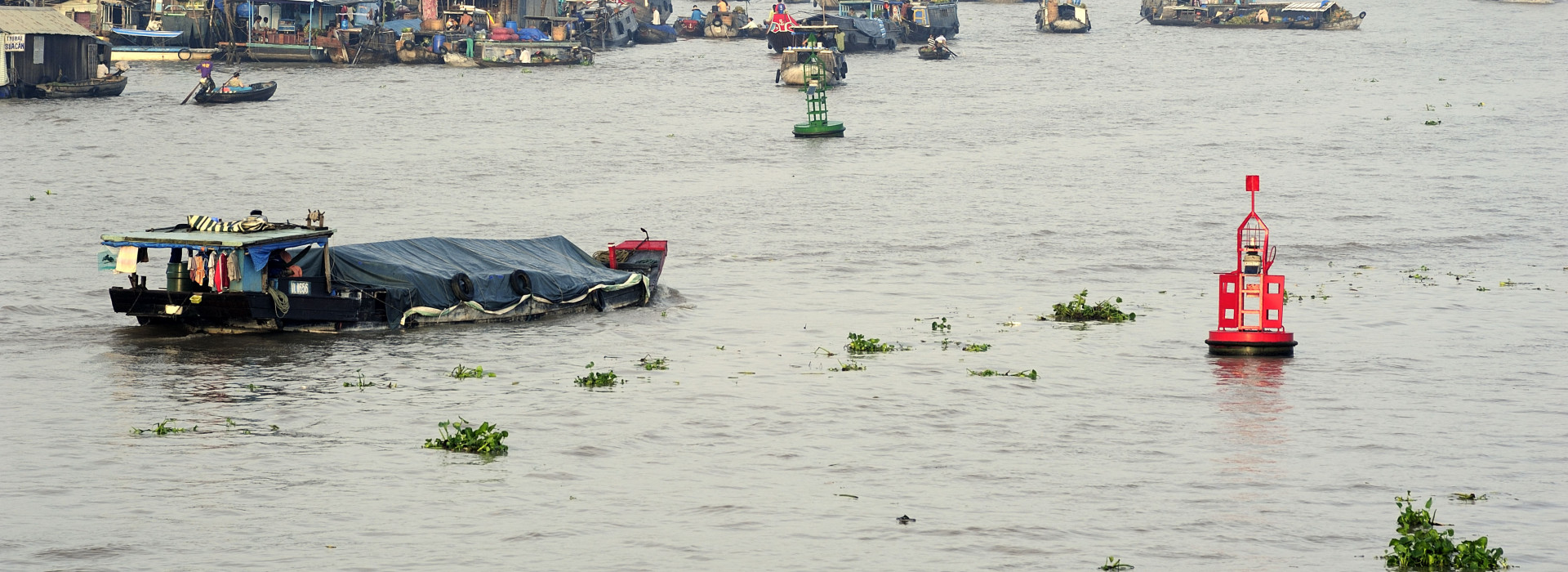 Cao-Lanh_JEP4975__FocusFillWzE5MjAsNzAwLCJ5Iiw0NzVd