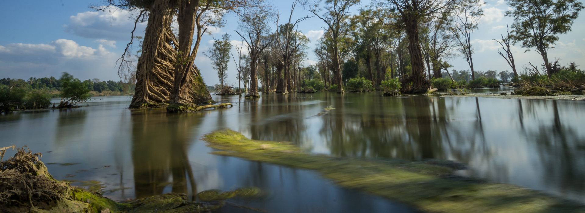 DSC7616_HS__FocusFillWzE5MjAsNzAwLCJ5Iiw1NzFd